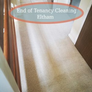 carpet cleaning services eltham