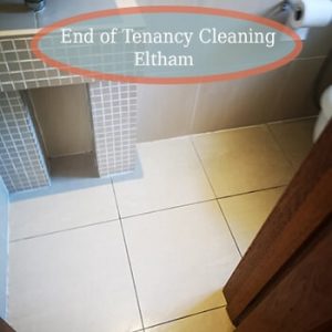 deep cleaning eltham